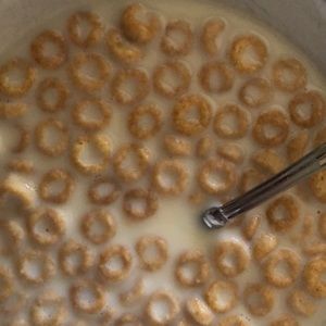 Meet your Posher, Hoi